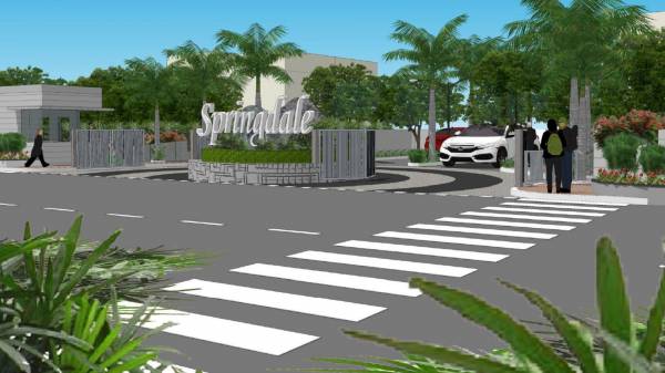  springdale Elevation