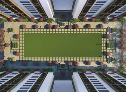  palms Landscape Garden and Tree Planting