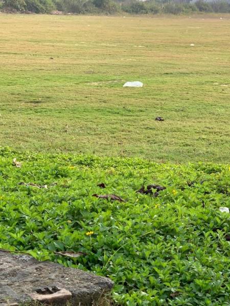 Others amenities of Amrawati IT City