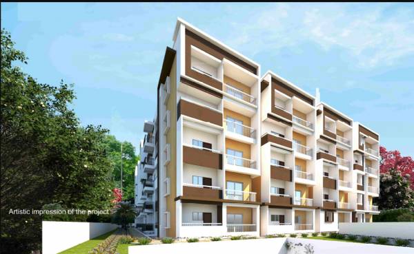  sgs-divine-aspire Elevation