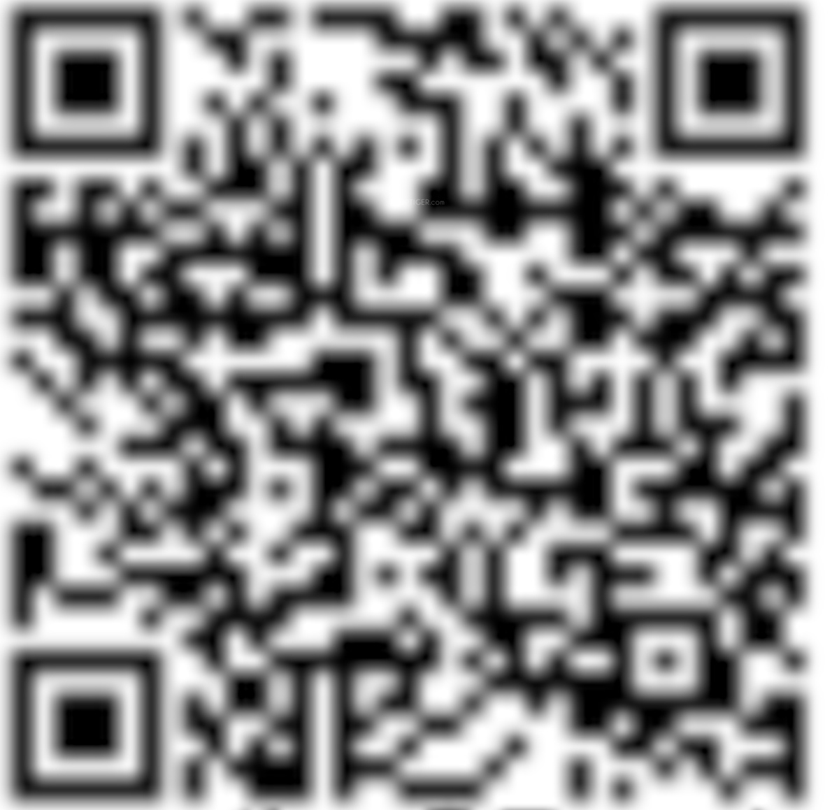 QR Image