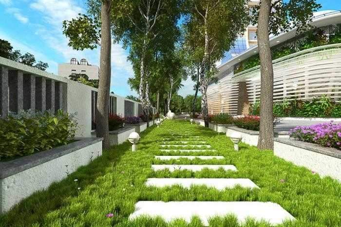  vertica Landscape Garden and Tree Planting