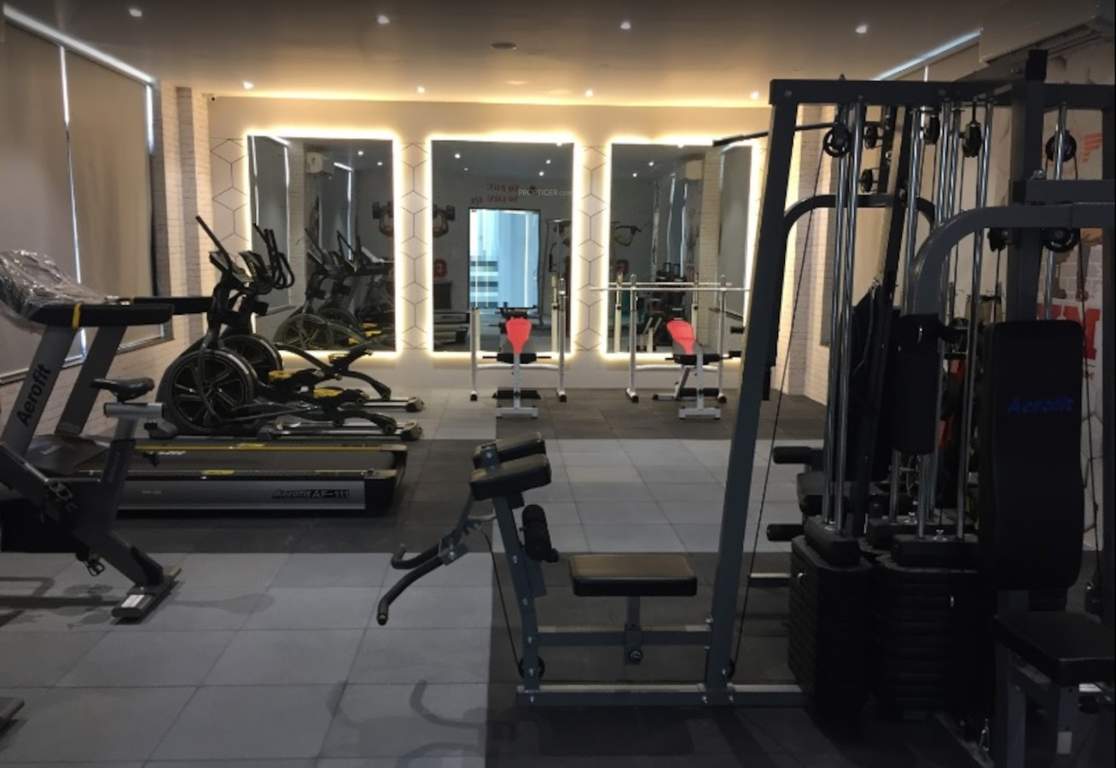  nest building e Others