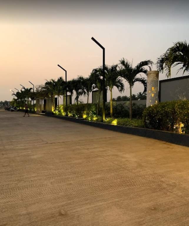  nest building e Others