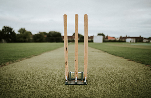 kallisto phase iv Others