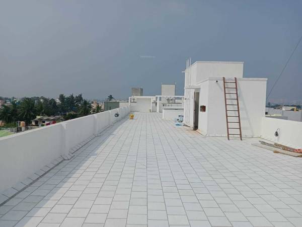  ideal-daisy Elevation