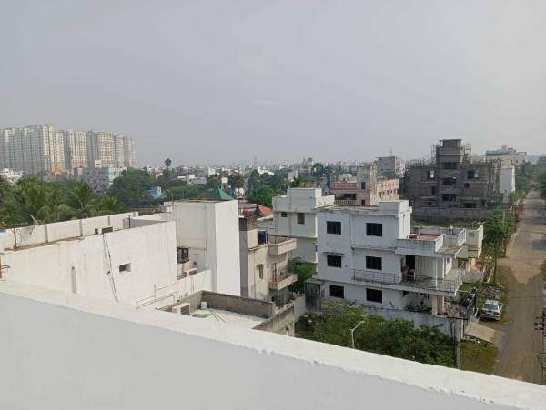  ideal-daisy Elevation