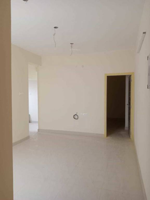  ideal daisy Living Area