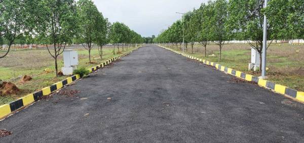  fresh-living Elevation