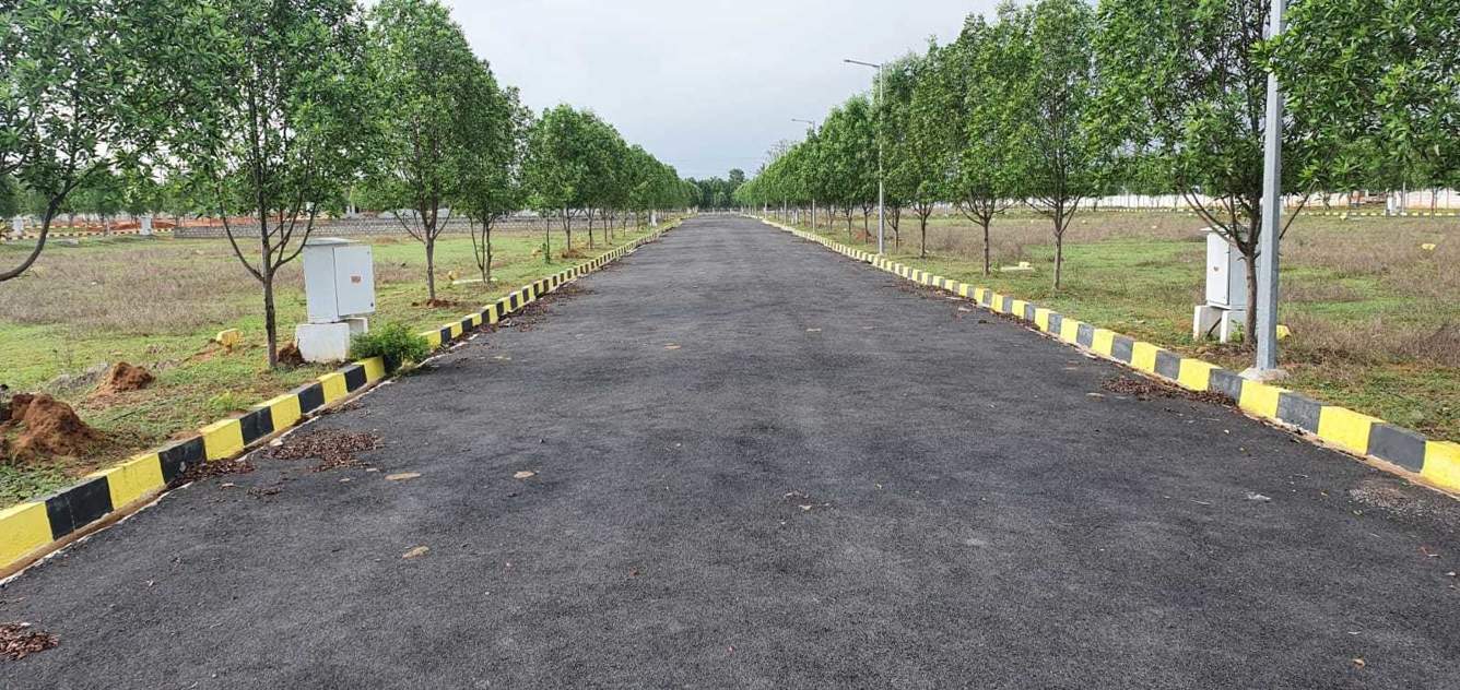  fresh living Elevation