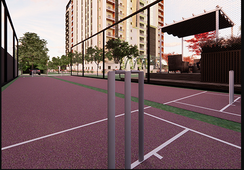  avenue Cricket arena