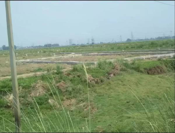  lemon-residency Elevation