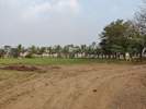 Silverstone Villas