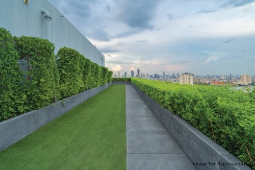  nexsa-sky-vista Others