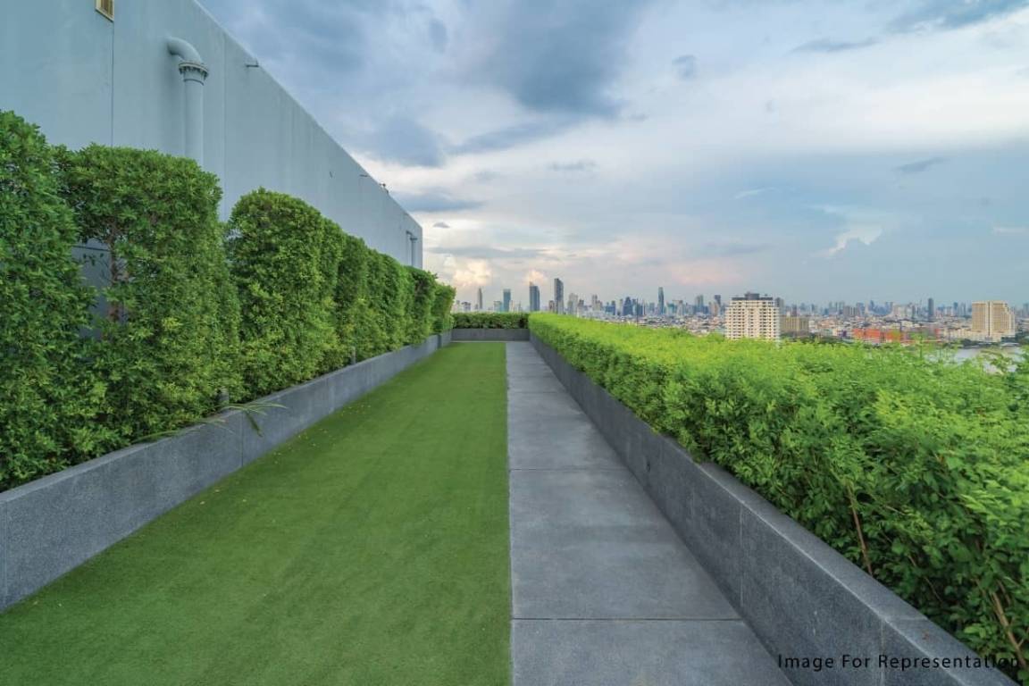  nexsa sky vista Others