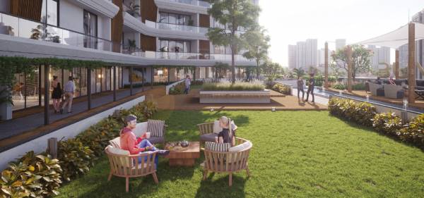  bellevue Landscape Garden and Tree Planting