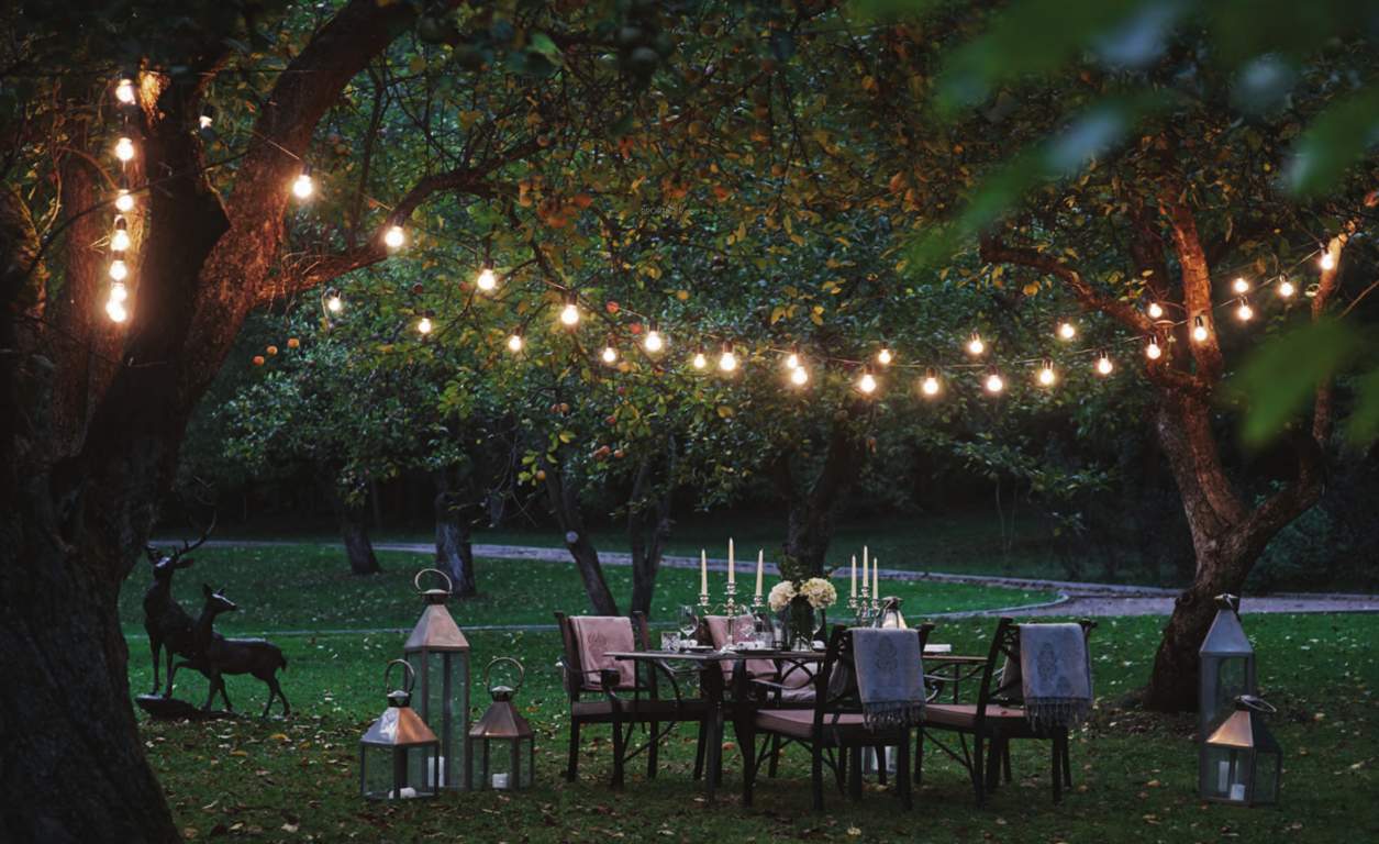  prime Party Lawn