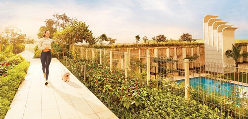 Jogging Track aura Jogging Track