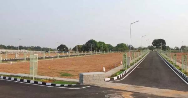  oak-tree-farm Elevation