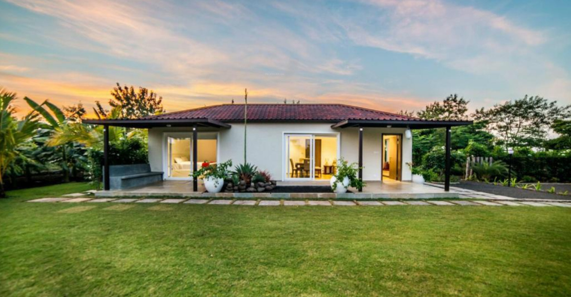  oak tree farm Others