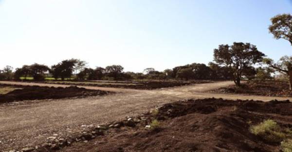 Plot premium-hi-link-greens-part-a Plot