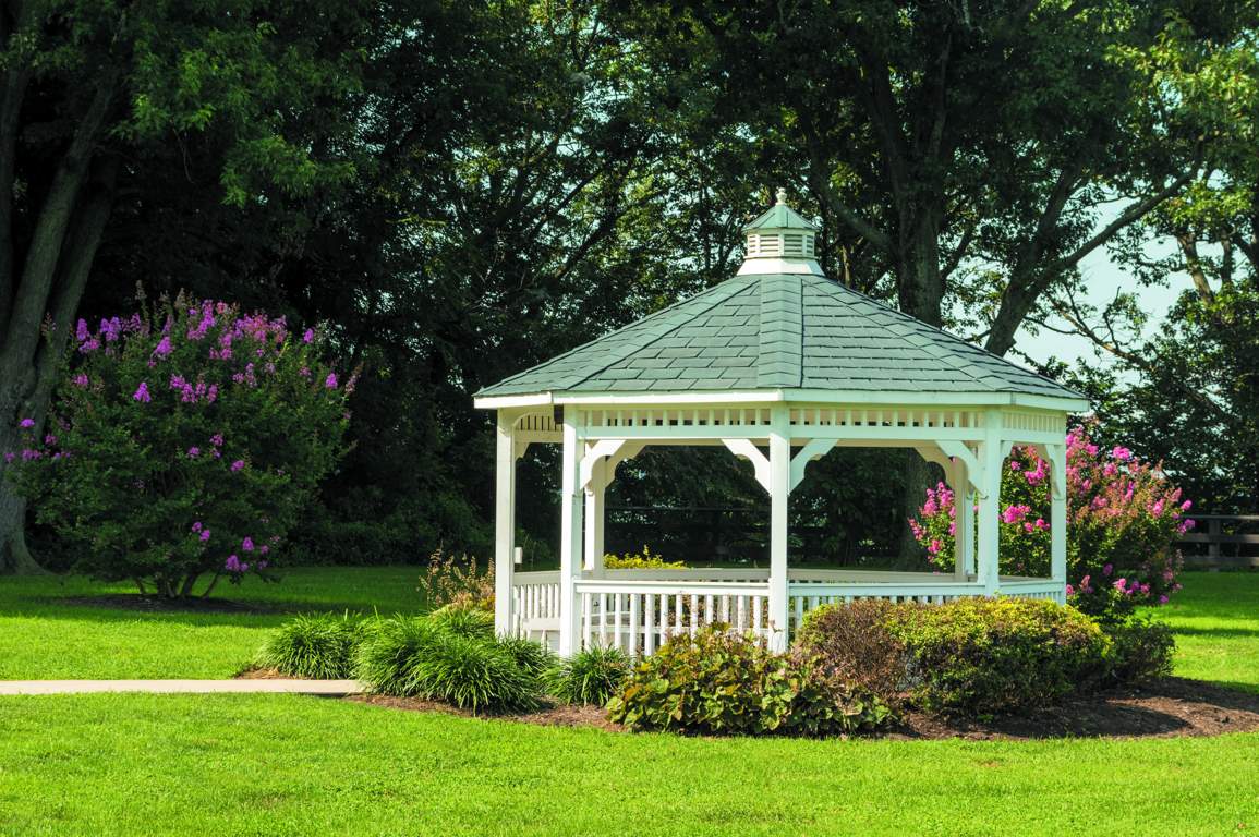  luminare Landscape Garden and Tree Planting