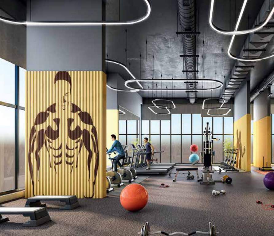  signature towers c4 Gymnasium