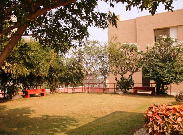  phase-iii-e Landscape Garden and Tree Planting