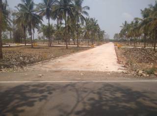 Project Image Project Image