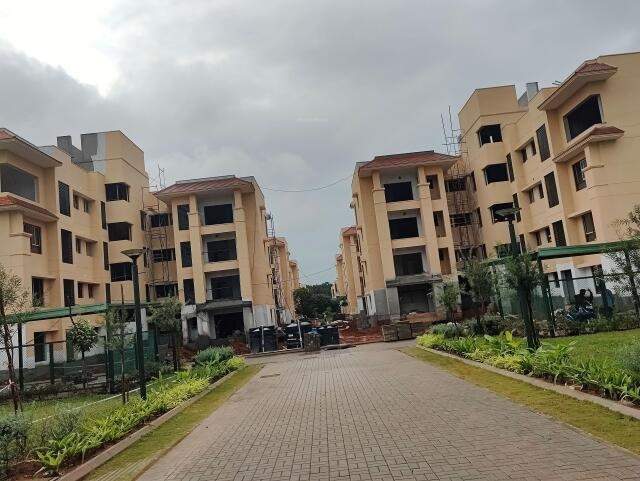 Pearl At Brigade Atmosphere