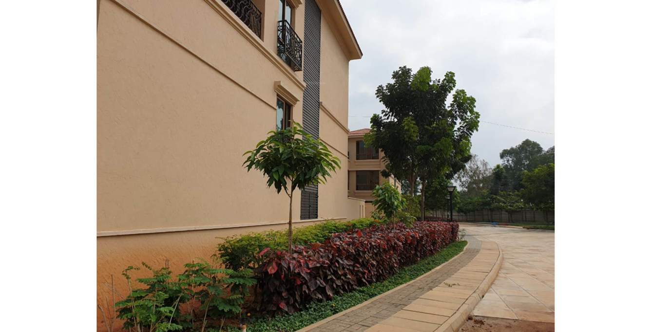 Pearl At Brigade Atmosphere