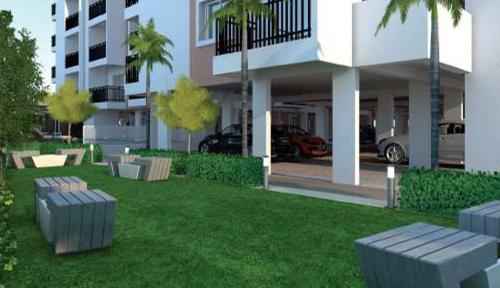  sannidhi Landscape Garden and Tree Planting