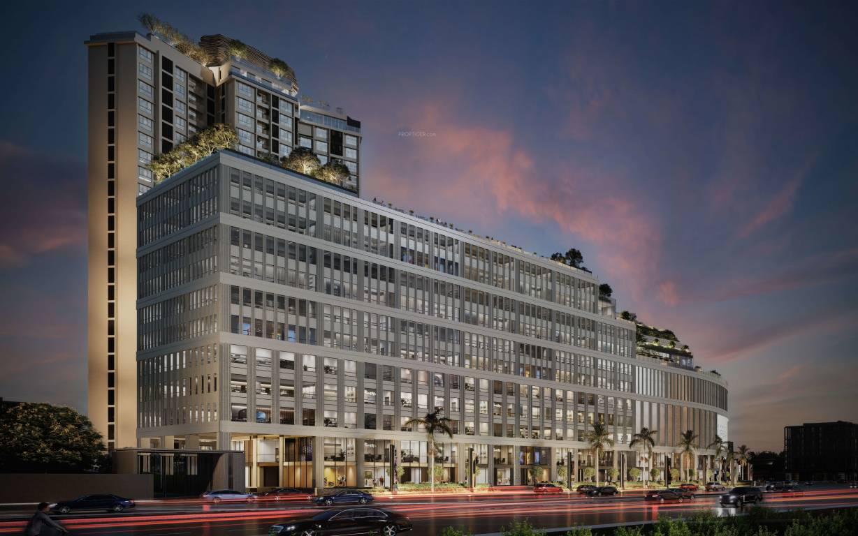 urban park Elevation