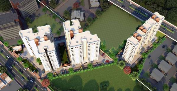  royal-orchid Elevation