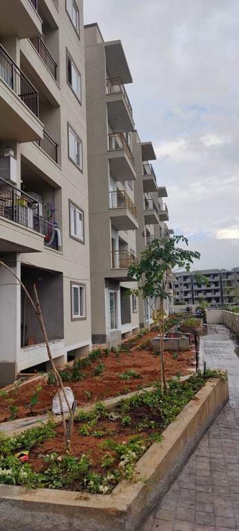  calista Land Capital Calista Construction Status Nov 23