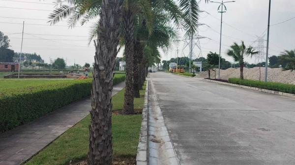  park-sector-2-and-3 Plot