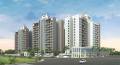 DR Gavhane Destinations Destination Ostia Bldg D