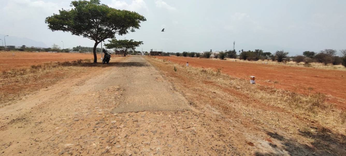 hill view p and t colony Plot