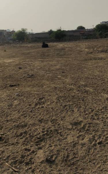 Elevation ashoka-greens-plots Elevation