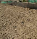  ashoka-greens-plots Plot