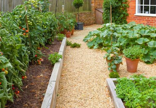  bliss-in-the-wood Organic Farming