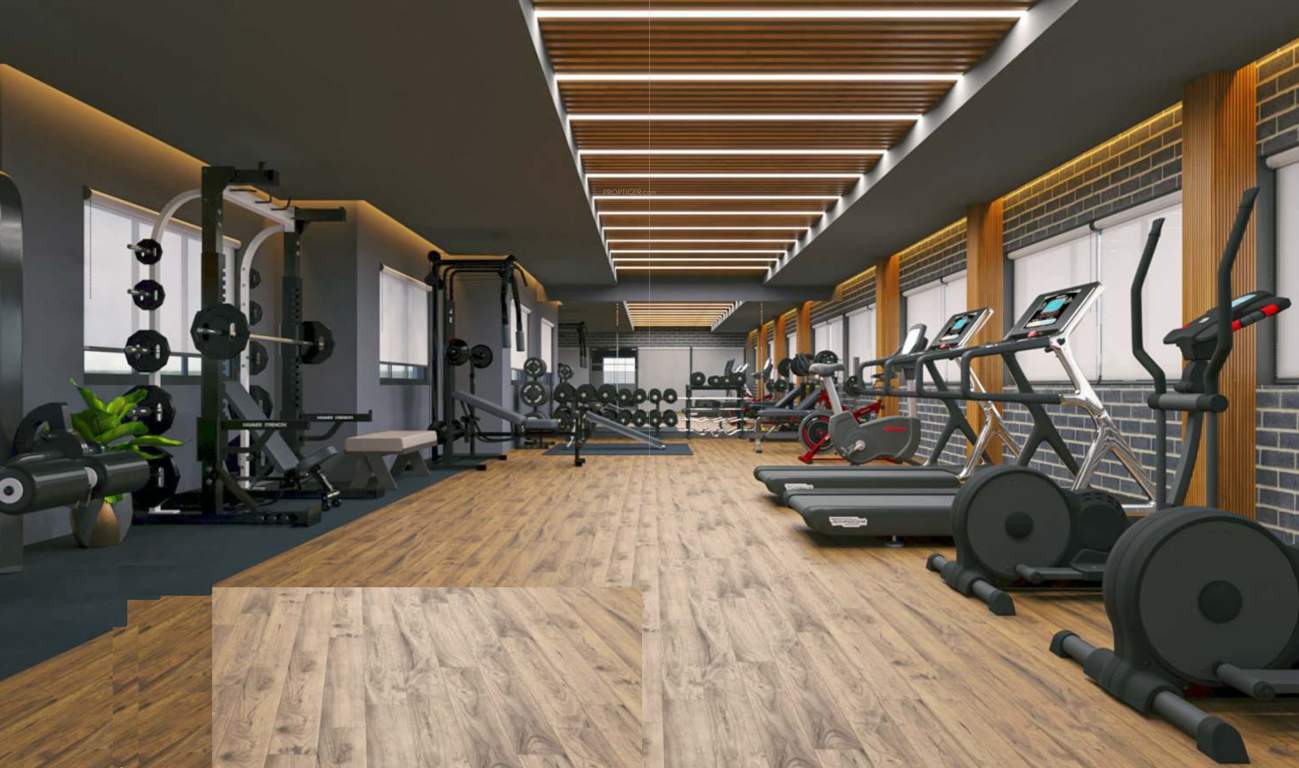  pavani northstar Gymnasium