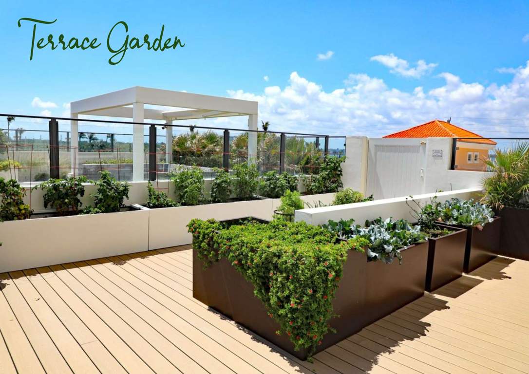  magathane press enclave chsl Terrace Garden