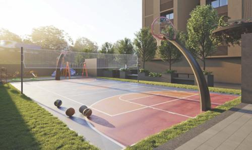  turquoise-dreamz Basketball Court