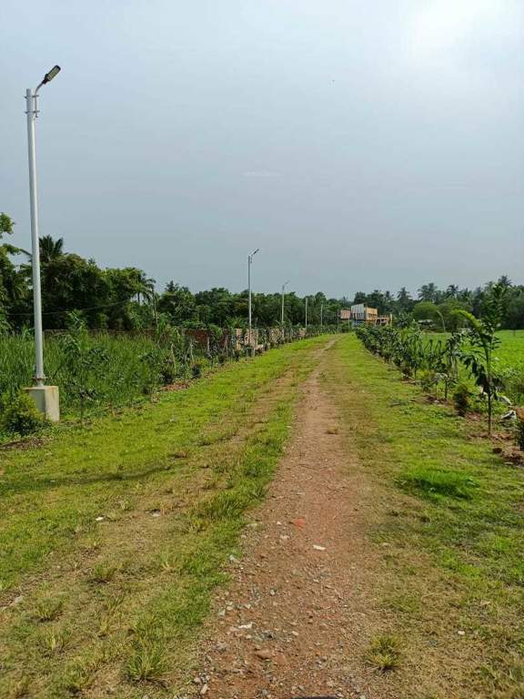  nest valley Plot