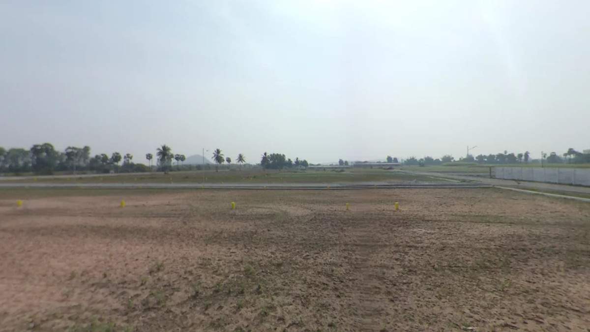 gold nest Plot