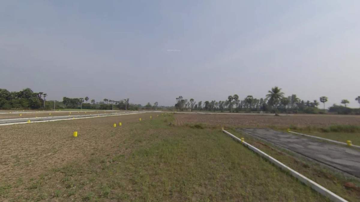  gold nest Plot