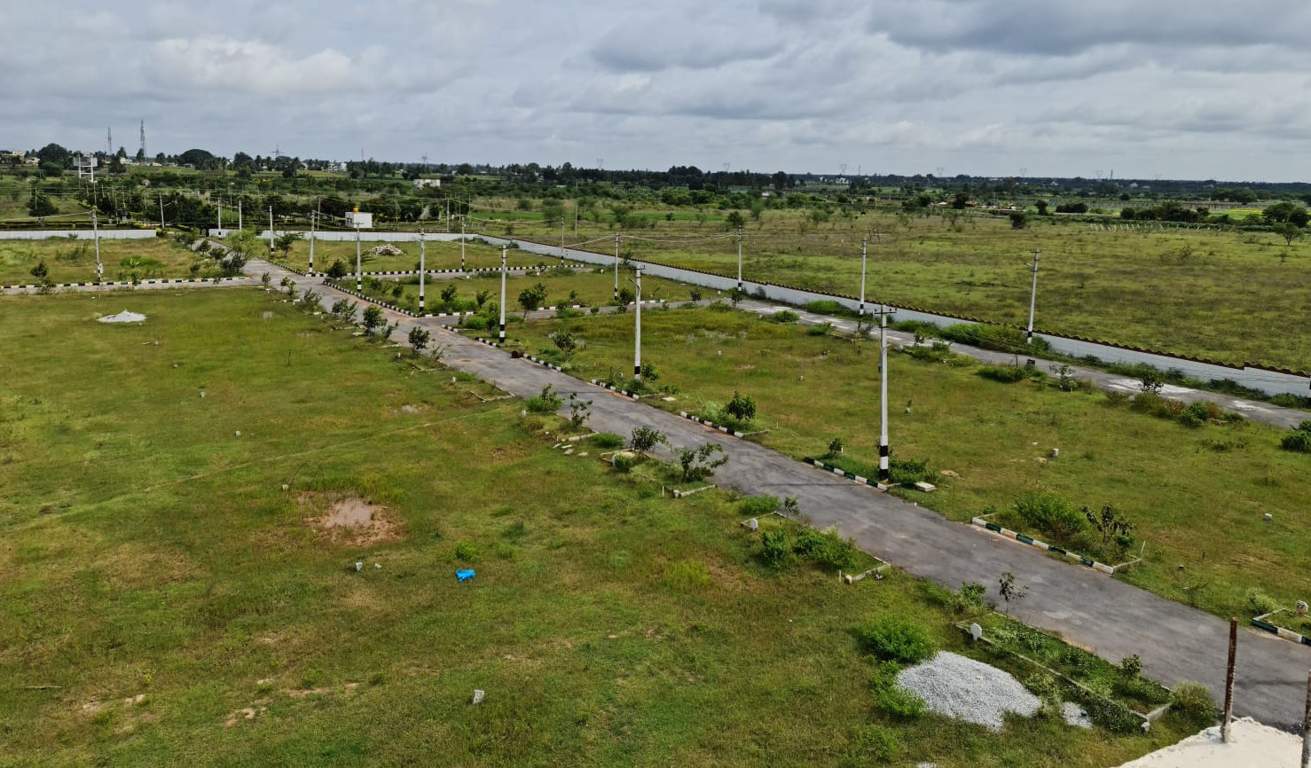  clay groove Plot