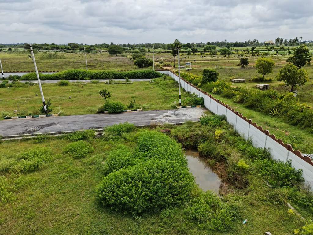  clay groove Plot