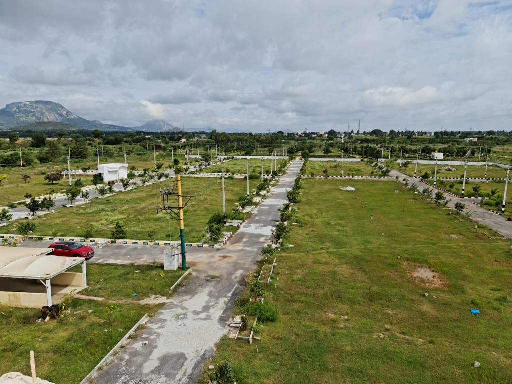  clay groove Plot